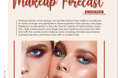 Makeup Artist Article